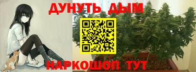 spice Рыбинск