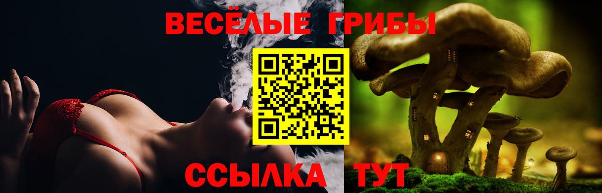 Псилоцибиновые грибы мухоморы  Галлюциногенные грибы мицелий  Ростов-на-Дону  дарнет шоп  Вход с VPN 
